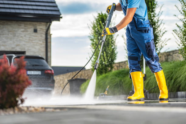 Best Driveway Pressure Washing  in Frackville, PA